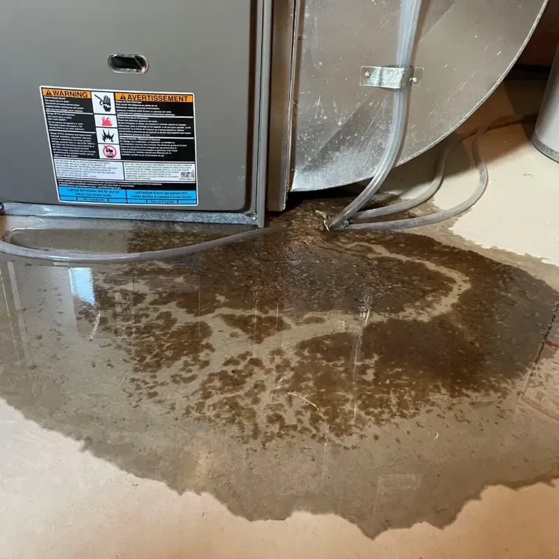 Appliance Leak Cleanup in Sandia Heights, NM